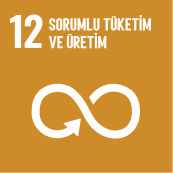 SDG12-icon