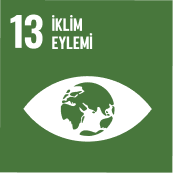 SDG13-icon