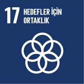 SDG17-icon