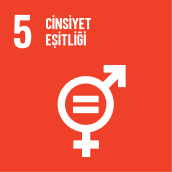SDG5-icon