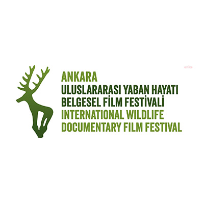 Ankara yaban hayatı